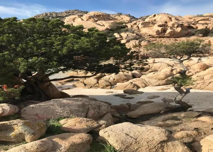 In With Sea View Olbia